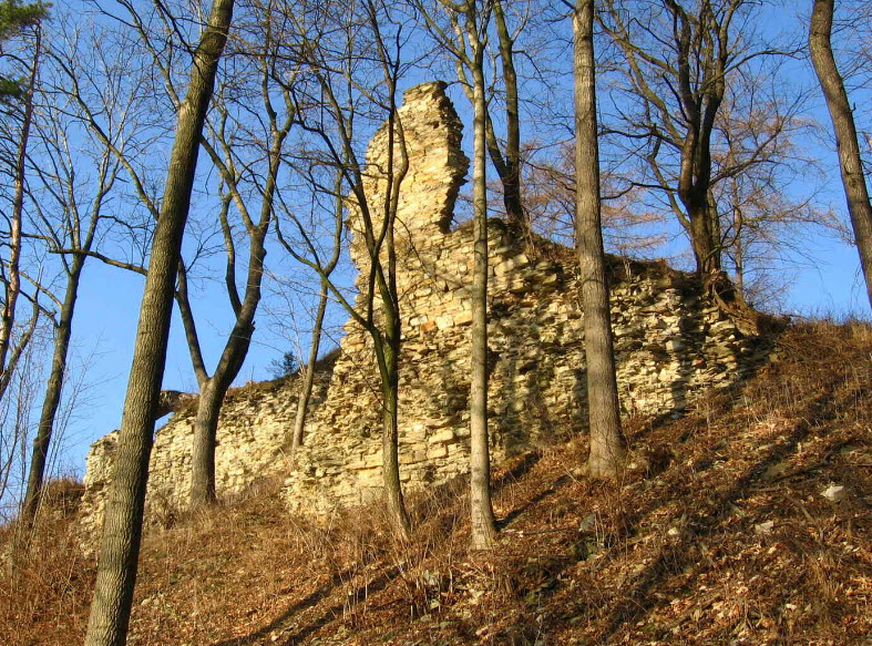Zřícenina Hradu Brandýs Nad Orlicí, Czech Republic (Czechia)